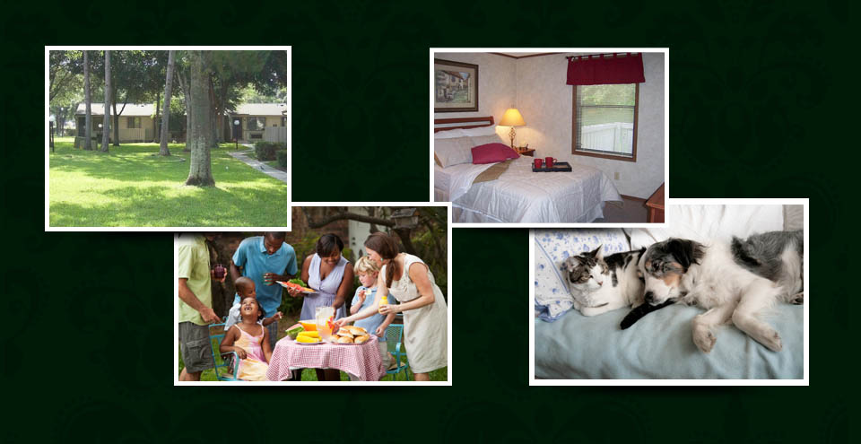 Apartments for rent in Port Richey